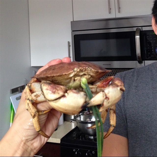 We got crabs!