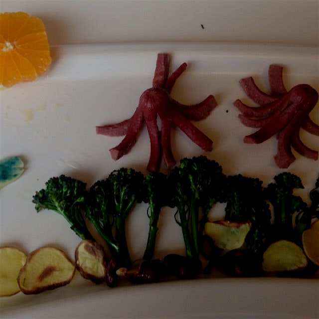 Rowan's "lunchscape"- octopuses garden
