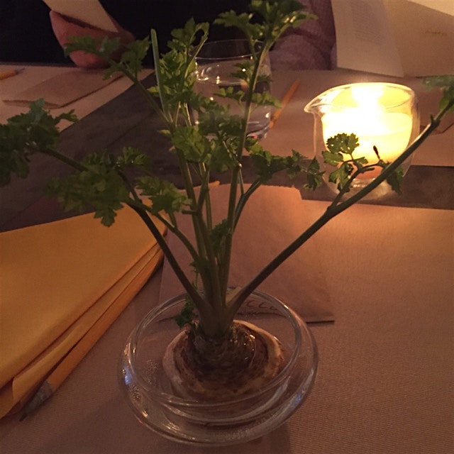 Our table "arrangement" at WastED. There were also bok choy and celery arrangements. 