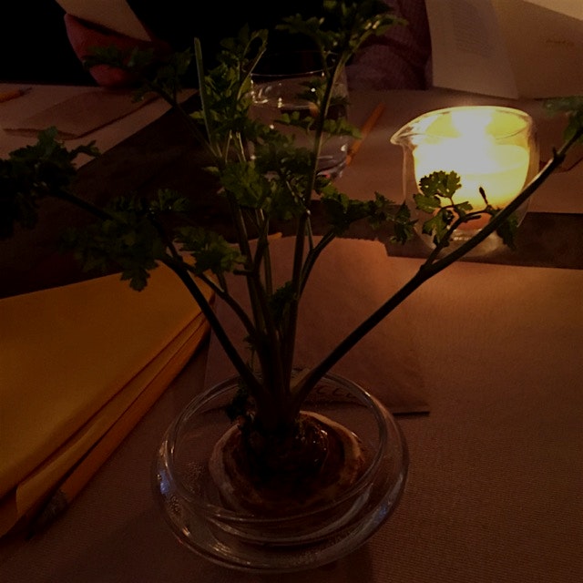Our table "arrangement" at WastED. There were also bok choy and celery arrangements. 