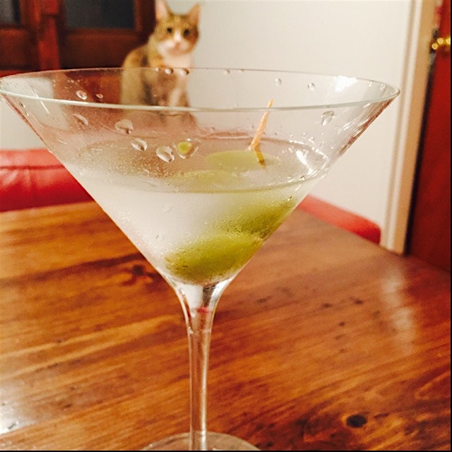 Potato vodka, straight up, 2 olives 🍸 (oh and my cat) 