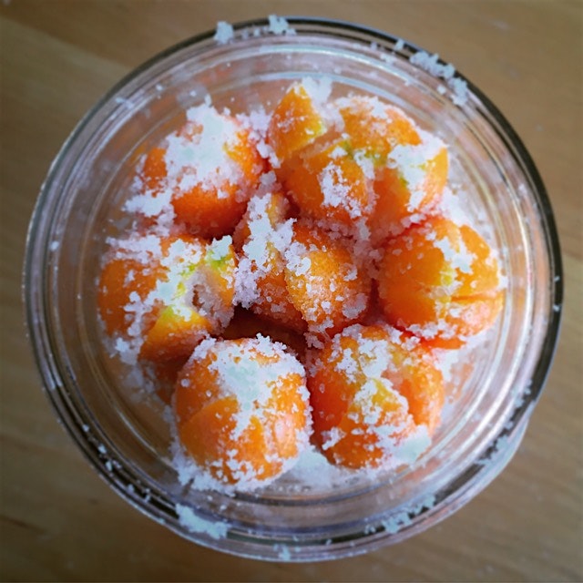 Preserved Kumquats in the making 