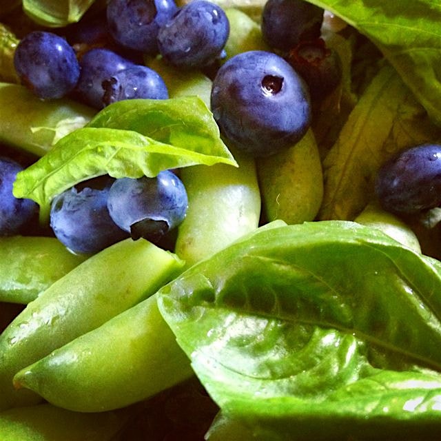 Fresh as it gets - just picked up a friends #csa share!