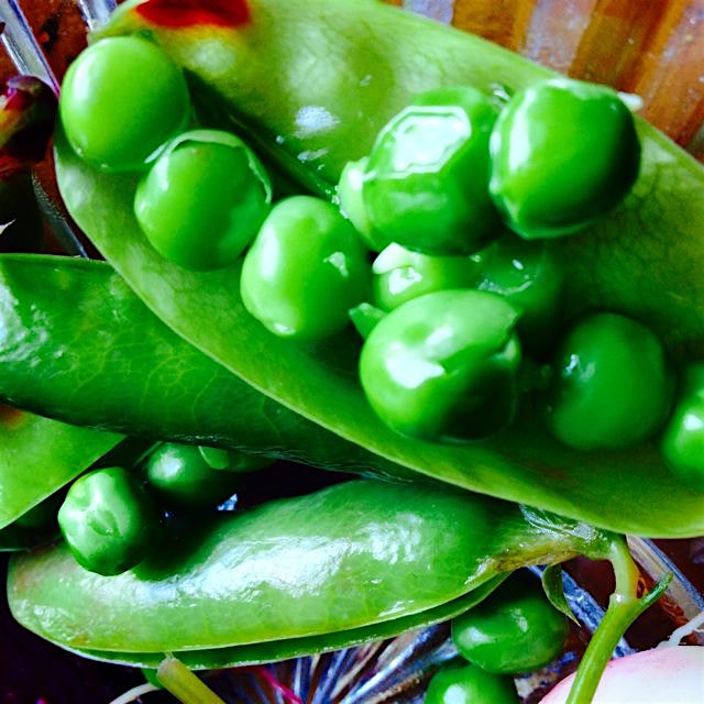 CSA steamed peas  - so simple and so grand ...
