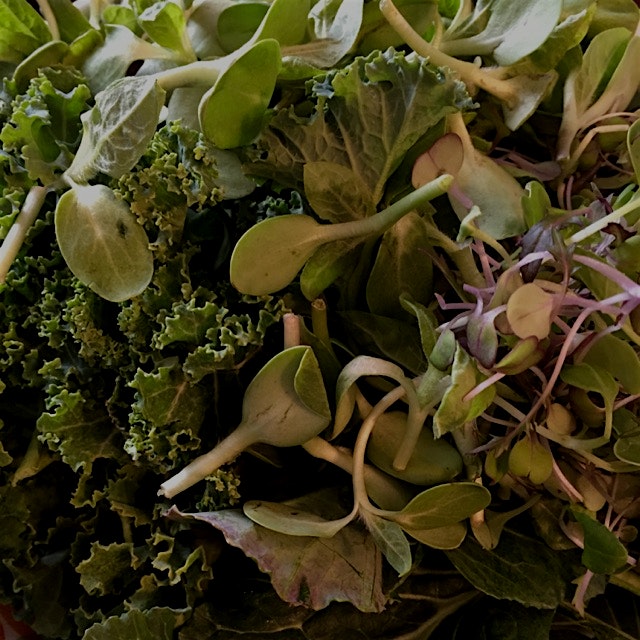 A feast fit for an Easter rabbit. (Can anyone name all these greens?) Sourced at the nyc Union Sq...