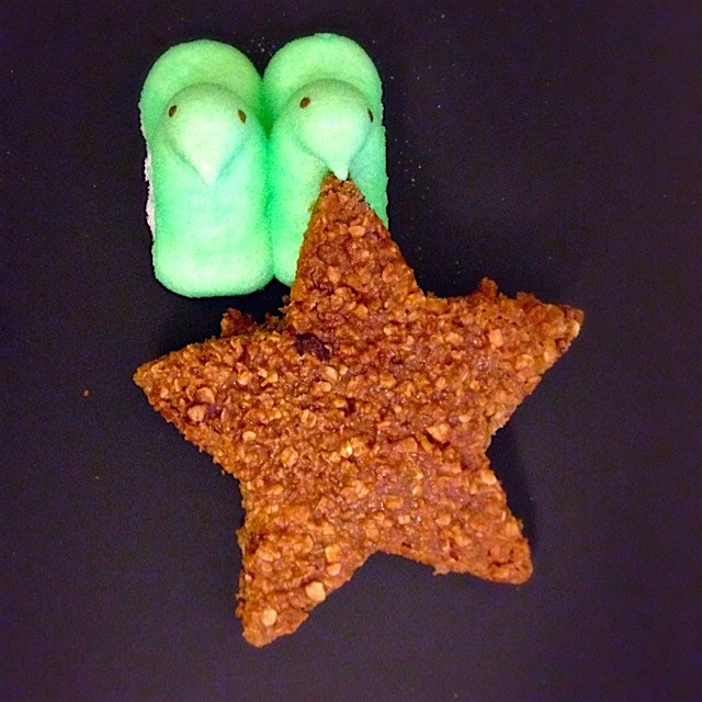 These clean protein bars are the bomb! I can't wait to start selling them! 