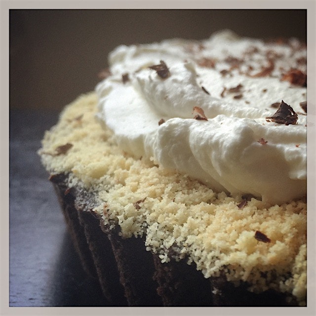 Chocolate peanut butter pie