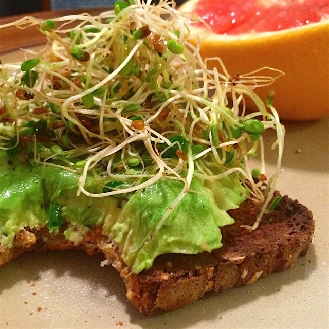 My avocado toast sported a sprout toupée this morning and grapefruit wanted 15 minutes of fame — ...