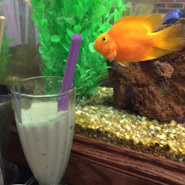 I'm not the only fan of Avocado Milkshakes.