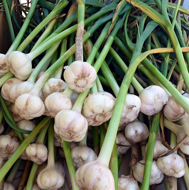 Franklin Square farmers know the key to any good meal....