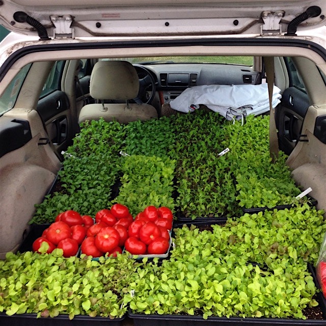 Campus products in my hands. 