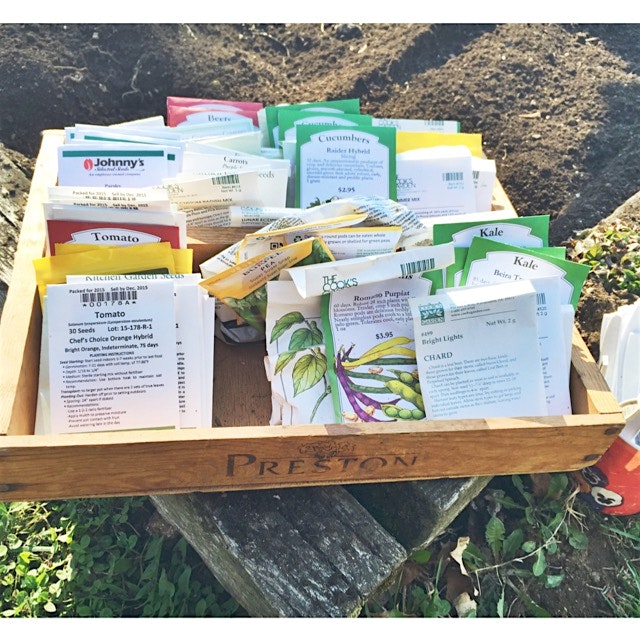 Spent the day learning how to garden back on Green Bean Farm 