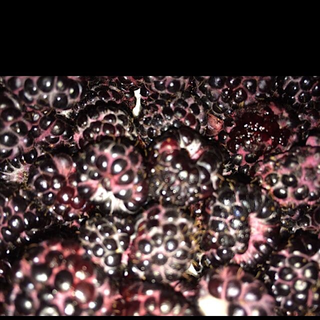 Black raspberries found at the Union Square farmers market. Gorgeous.