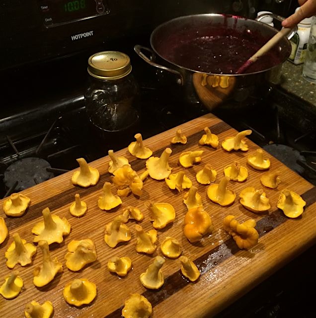 Drying wild harvested shrooms and jamming fresh blueberries all on a Saturday night.