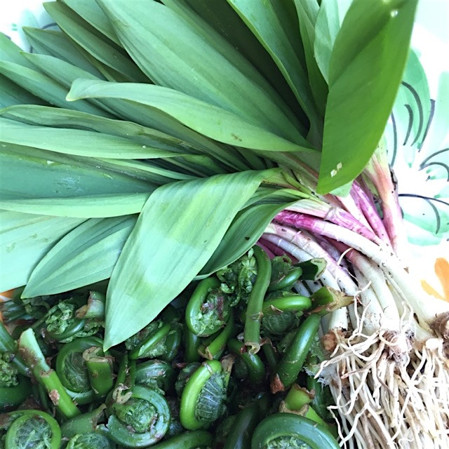 I got these at the farmers market this morning. I'm not sure what I'm going to do with them yet. 