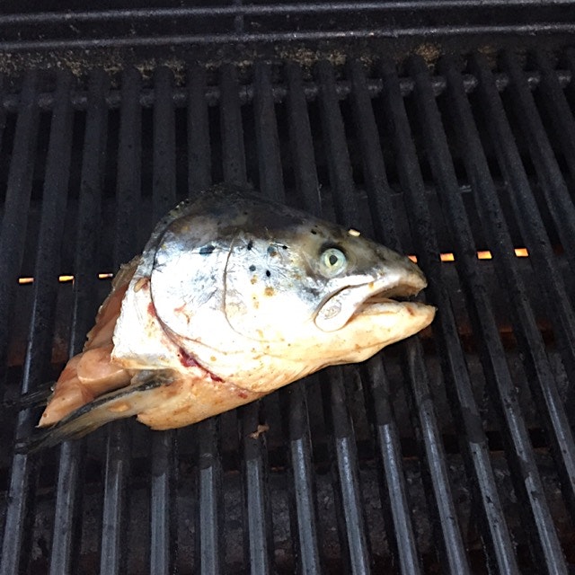 Salmon head, lacquer 