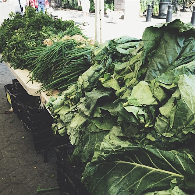 The greenmarket living up to its name 