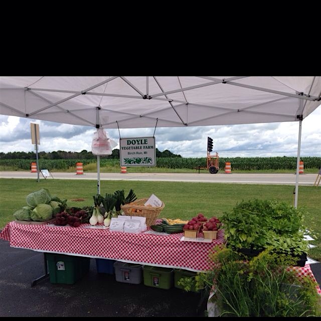 Wednesday's Frankenmuth Farmer's Market