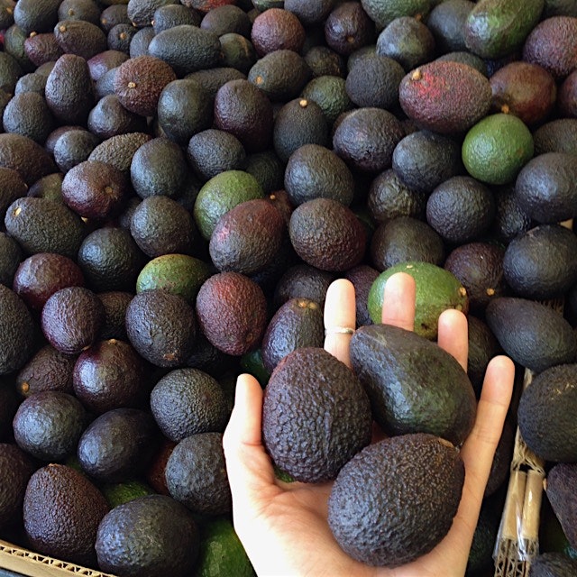 Pee Wee California Avocados!