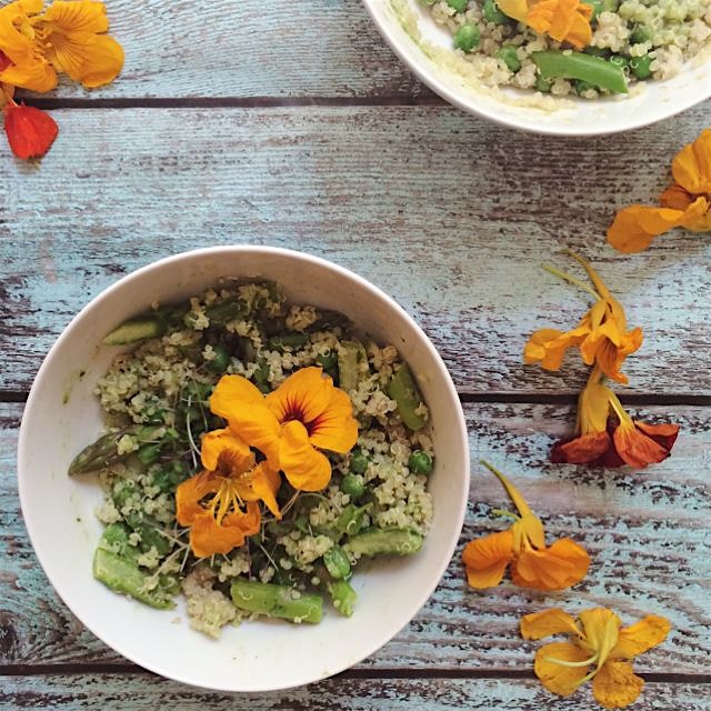 Green veggie quinoa bowl with peas, asparagus in a spinach pesto sauce! 