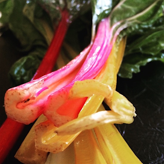 Rainbow chard and kale recipe on my blog! So easy and so tasty!! 