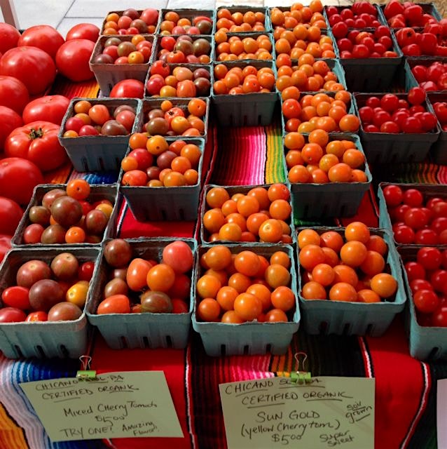 Perfect dirt-grown heirloom tomatoes 