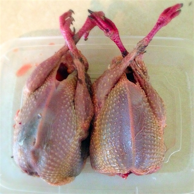 Pigeons are a better choice than factory chicken. 