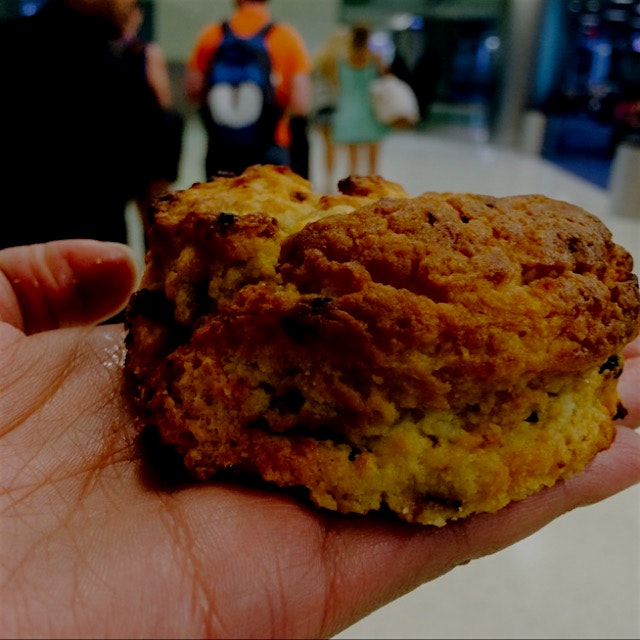 My airport food is better than your airport food. Big hugs to @thefederalmia for the biscuit dogg...
