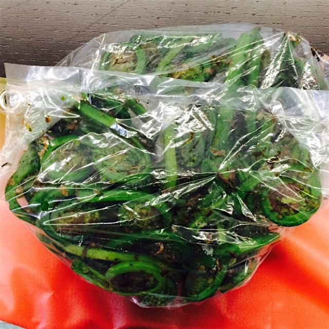 Sneaking a peek at @simplywithout's fiddlehead ferns From @farmigo! 