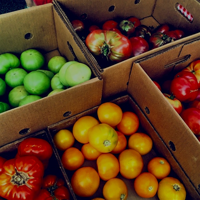 Look at these beauties! Luscious heirloom tomatoes from Southside Farms in Chocowinity, NC!! 