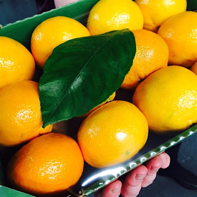 Fresh food marketing at its finest.  