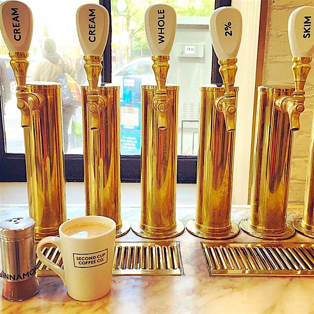 What's on tap?  Keeping coffee addicts entertained in Toronto. The start of the weekend. Enjoy! 😄