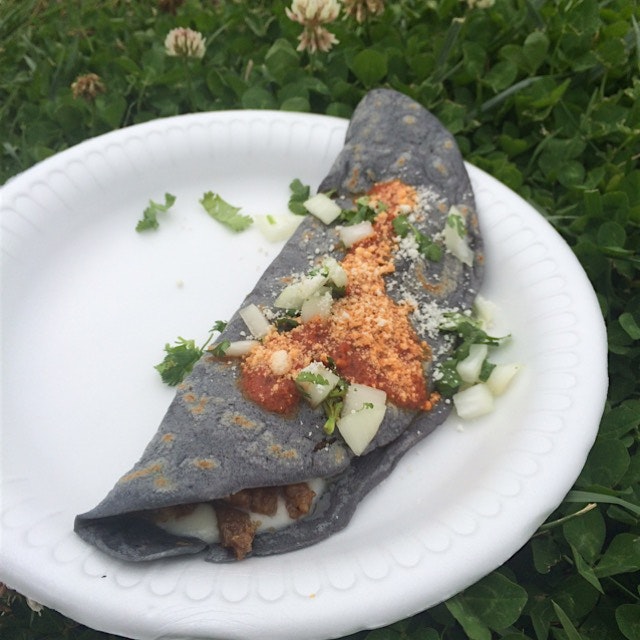 Blue corn quesadilla stuffed with chicharron and cheese from the Oaxacan Quesadilla Cart near Ech...