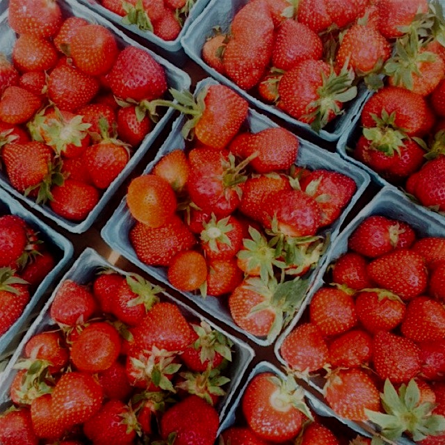 It's happening! Strawberry season! 🍓🍓🍓🍓🍓