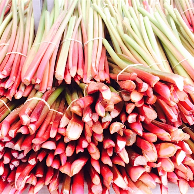 Rhubarb Porn- just because it'll be gone soon 😍 