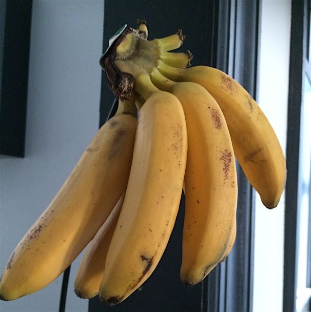 These baby bananas are called "orito" coming from"oro"which means gold ... Little gold. They're f...