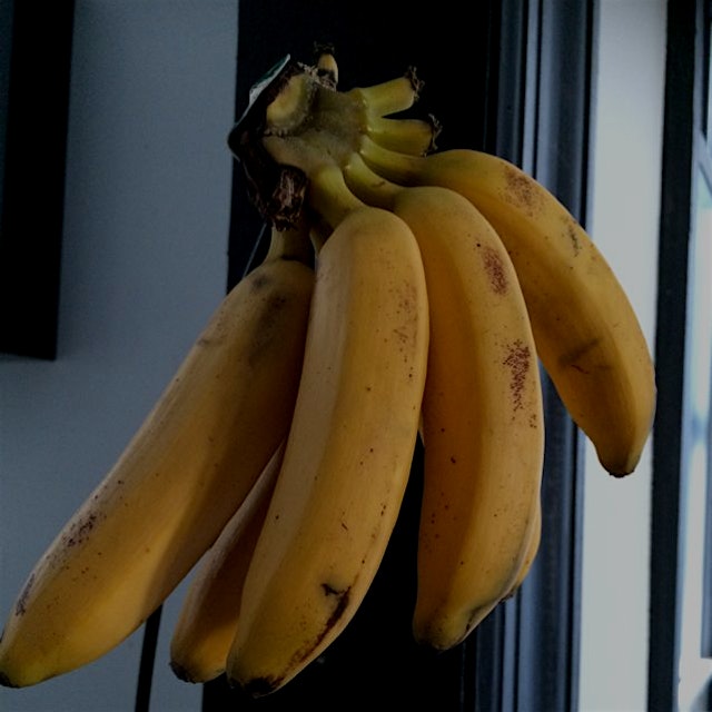 These baby bananas are called "orito" coming from"oro"which means gold ... Little gold. They're f...