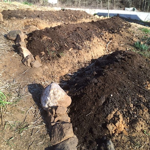 New swales and berms ready for food