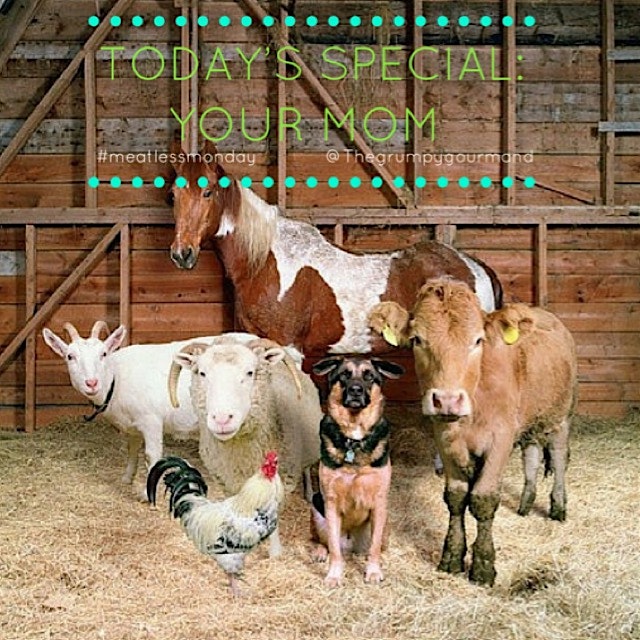 Barnyard friends say:  step off! time to bring out the veggies. . . 