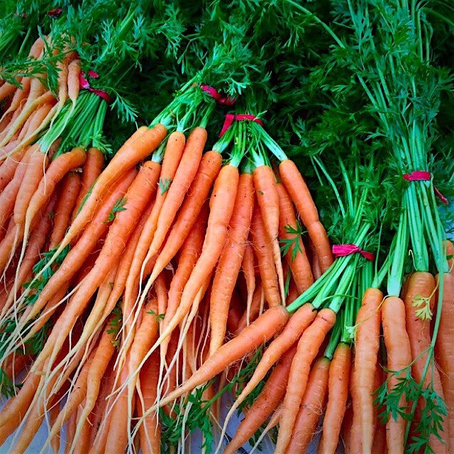 The "first fruits" are supposed to be the best and the sweetest!!! These little babies are sweet ...