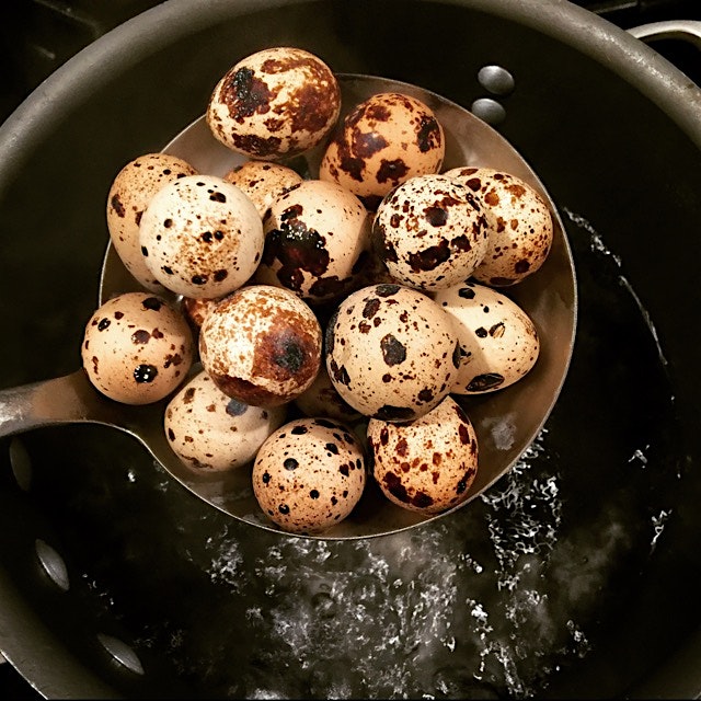 Picked up some quail eggs from Griggstown Quail Farm and Market in Princeton, NJ for the #ChefSho...