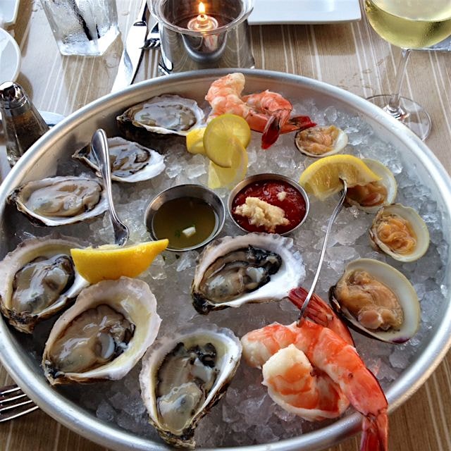 Rhody's ocean offering with @tara