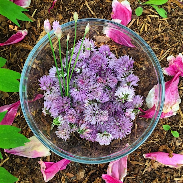 Friday morning harvest: chive flowers!!