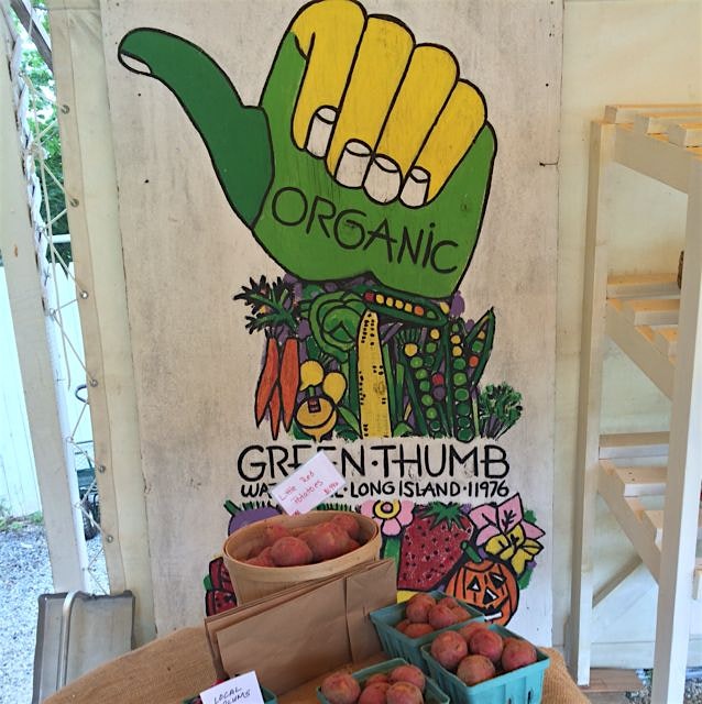 Driving home from Montauk, NY