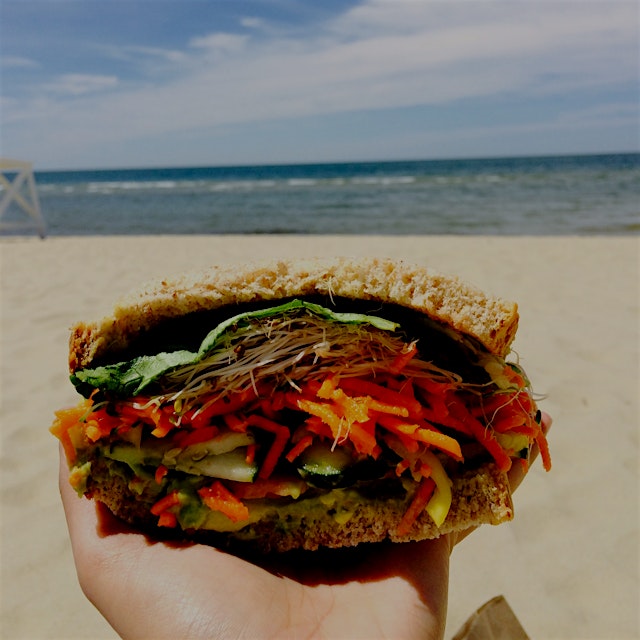 Beach picnic in Nantucket from the best sandwich shoppe on the island @Nainiac @akhilg2002 