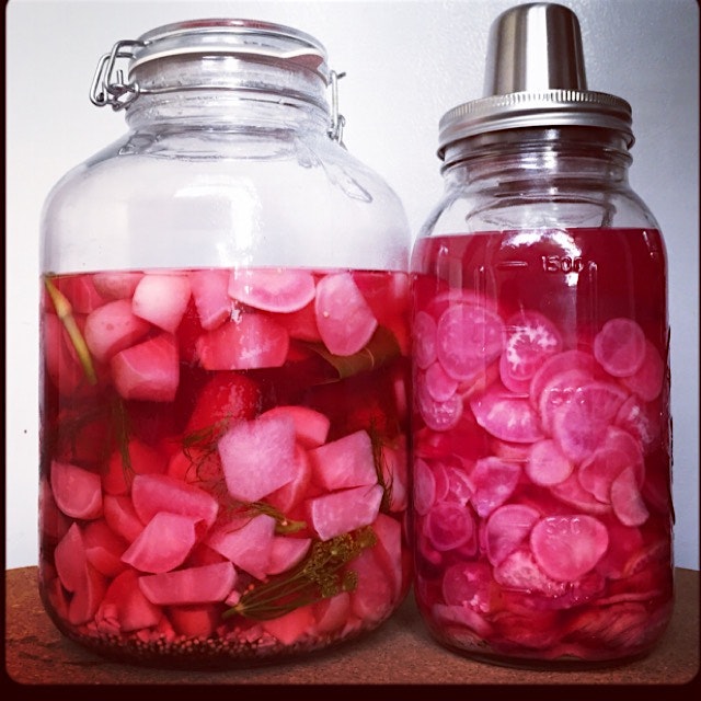 Pickles!  Refrigerator and fermented radish pickles