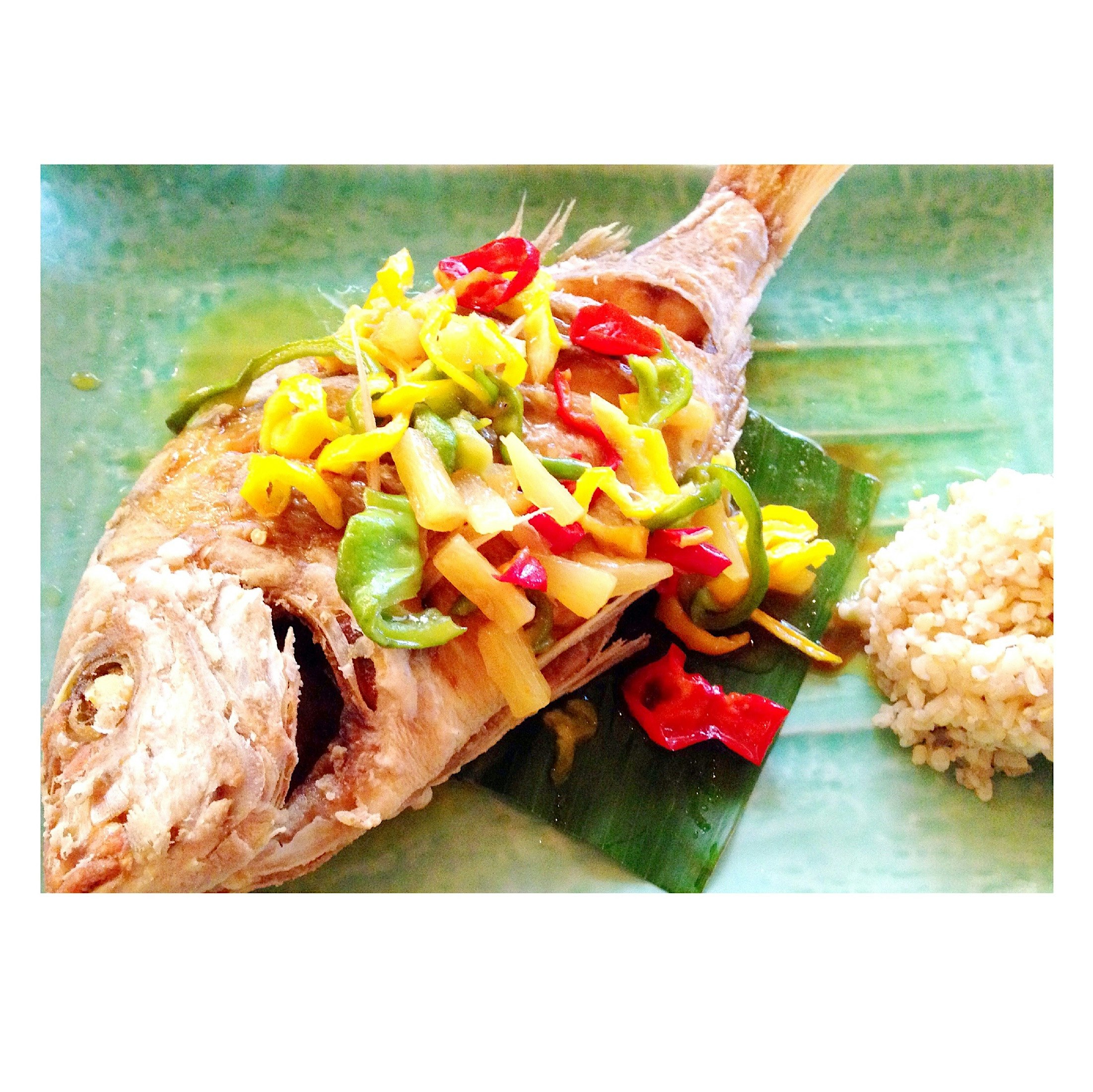 Chinese style snapper. Yum! 