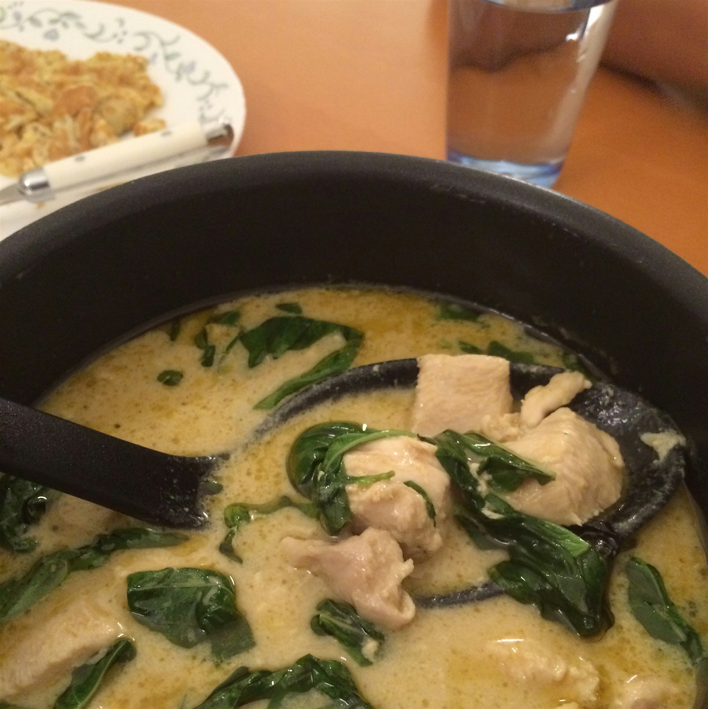 Homemade Thai food with Irene! 