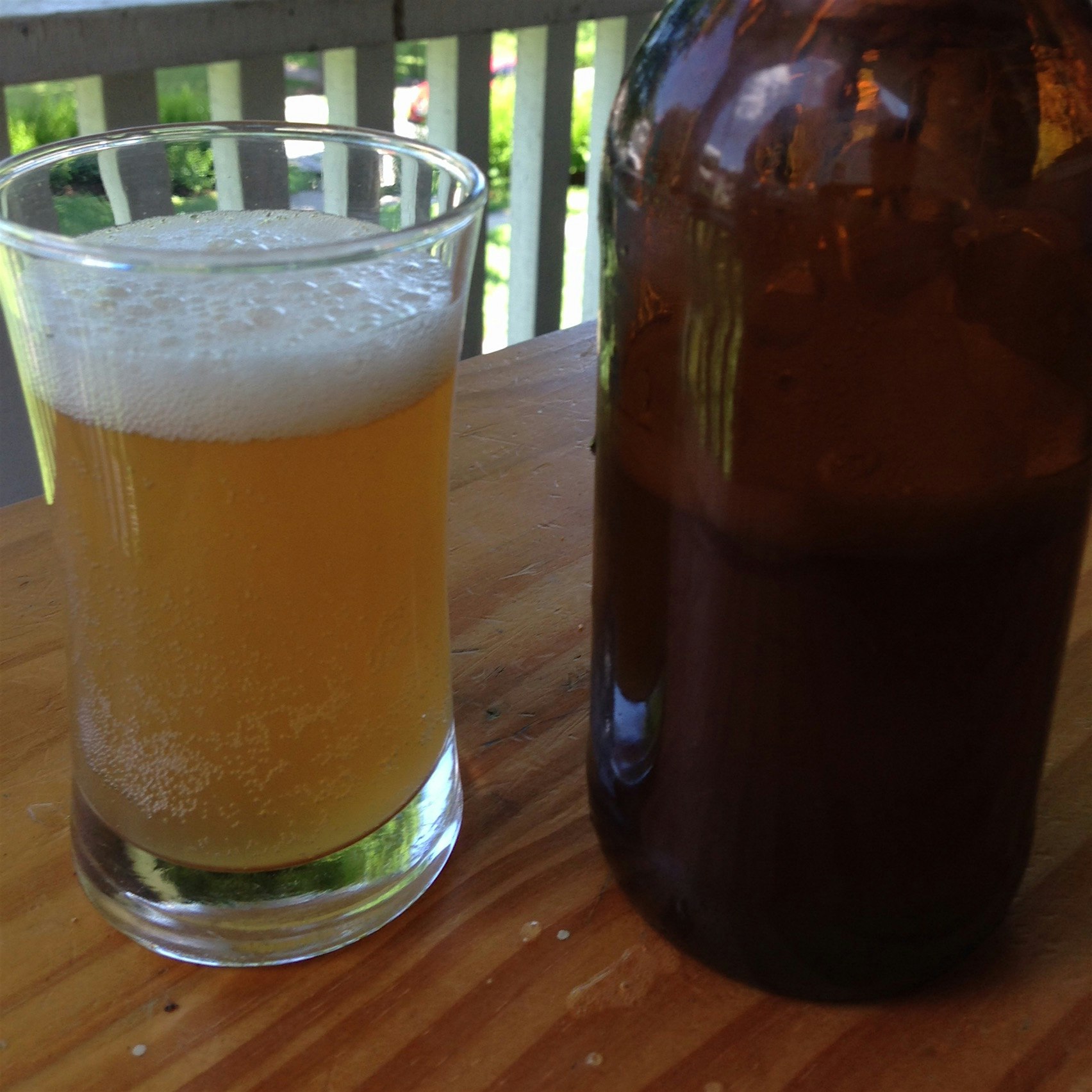 Bottle fermented reishi kombucha is a perfect summer drink. 