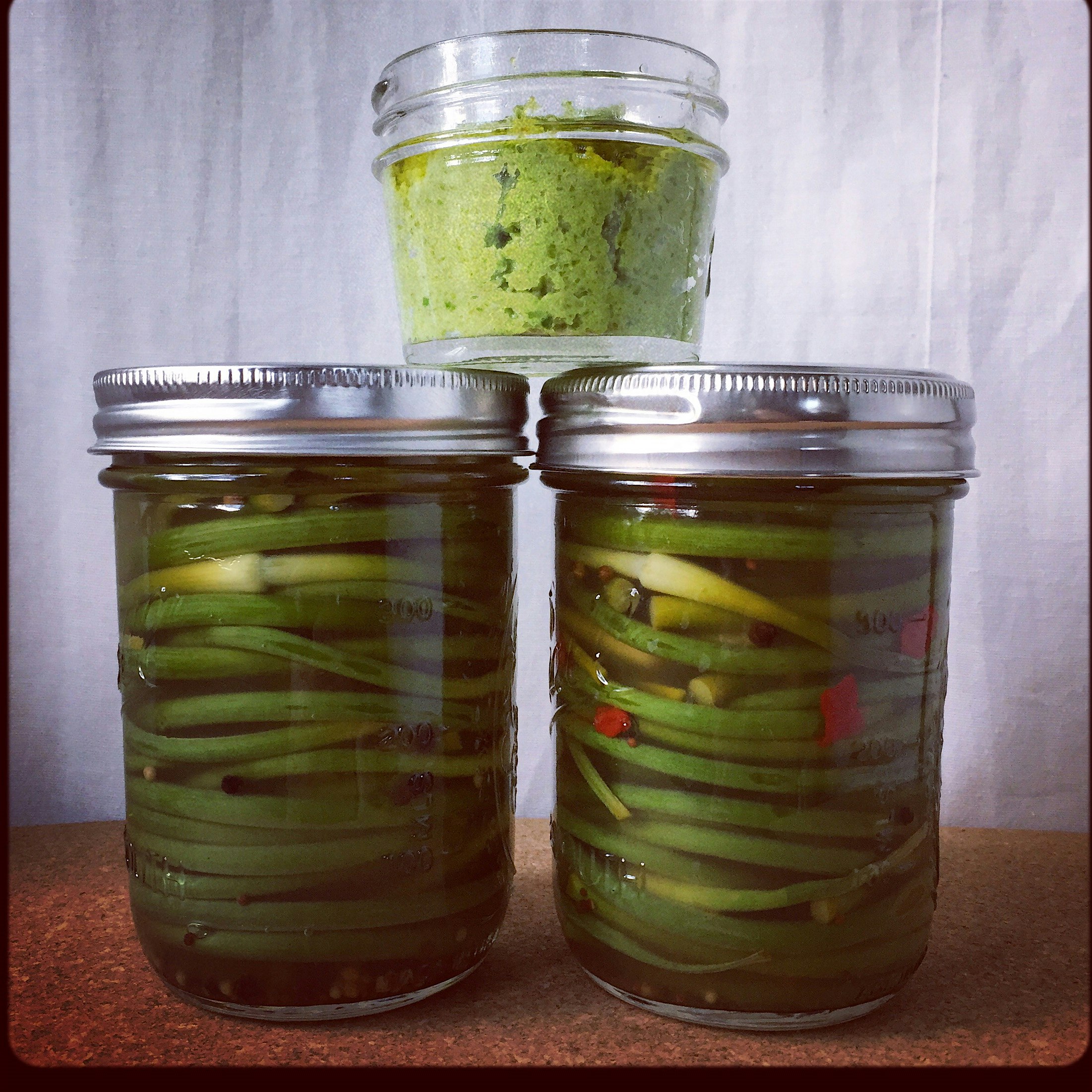 Garlic scape pesto and pickled garlic scapes